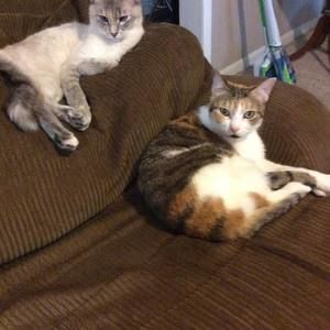 Meet your Posher, Wendy